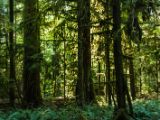 20140823-IMG 9065 : Canada, Vancouver Island
