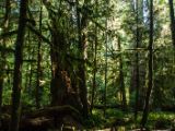20140823-IMG 9069 : Canada, Vancouver Island