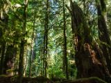 20140823-IMG 9070 : Canada, Vancouver Island