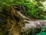 20140823-IMG 9085 : Canada, Vancouver Island