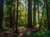 20140823-IMG 9116 : Canada, Vancouver Island