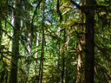 20140823-IMG 9138 : Canada, Vancouver Island