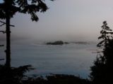 20140823-IMG 9184 : Canada, Vancouver Island