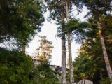 20140823-IMG 9209 : Canada, Vancouver Island