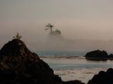 20140823-IMG 9218 : Canada, Vancouver Island