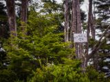 20140824-IMG 9327