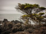 20140824-IMG 9331