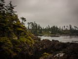 20140824-IMG 9336