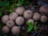 20140824-IMG 9346