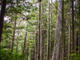 20140824-IMG 9356