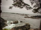 20140824-IMG 9378
