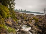 20140824-IMG 9381