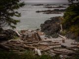 20140824-IMG 9383