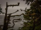 20140824-IMG 9384