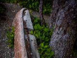 20140824-IMG 9385