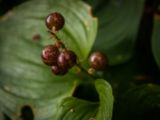 20140824-IMG 9388