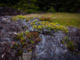 20140824-IMG 9404