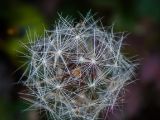 20140824-IMG 9412