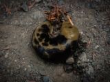 20140824-IMG 9417
