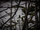 20140824-IMG 9419
