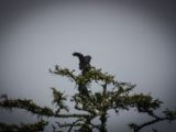 20140824-IMG 9422