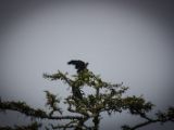 20140824-IMG 9423