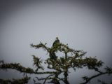 20140824-IMG 9424