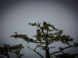 20140824-IMG 9432