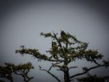 20140824-IMG 9433