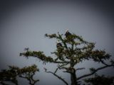 20140824-IMG 9441
