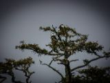 20140824-IMG 9442