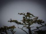 20140824-IMG 9443