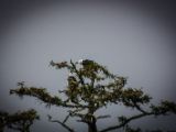 20140824-IMG 9449