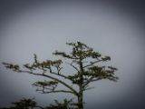 20140824-IMG 9452
