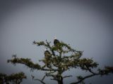 20140824-IMG 9464