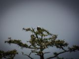 20140824-IMG 9465