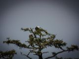 20140824-IMG 9467