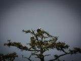 20140824-IMG 9468