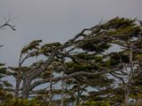 20140824-IMG 9470