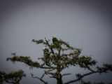 20140824-IMG 9472
