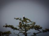 20140824-IMG 9473