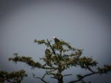 20140824-IMG 9474