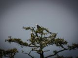 20140824-IMG 9475