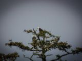 20140824-IMG 9476