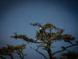 20140824-IMG 9488