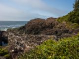 20140824-IMG 9521