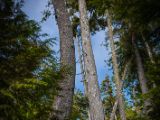 20140824-IMG 9562