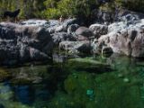 20140825-IMG 9832 : Canada, Vancouver Island