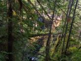 20140825-IMG 9865 : Canada, Vancouver Island