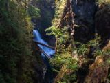 20140825-IMG 9868 : Canada, Vancouver Island